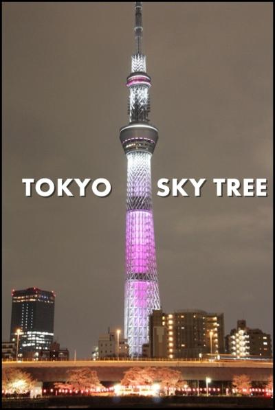 【花見しながら街歩き】 隅田公園から桜特別ライティングの東京スカイツリーへ