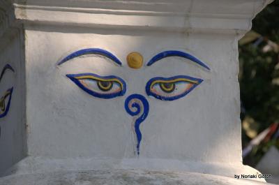 ネパール・カトマンズ・ポカラ（その３）