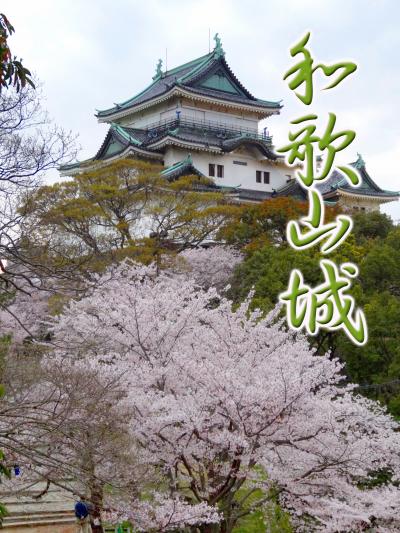 和歌山城の桜