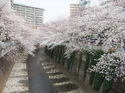 東京の地下鉄路線を歩こう！　第８弾：東西線：　地上部分・前編（中野～大手町）　