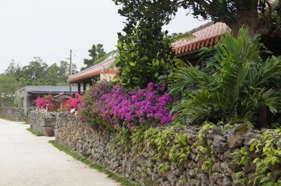 那覇~石垣島~竹富島~西表島(カヌーとトレッキング) パート1