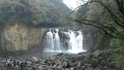 桜をたずねて２０１３春⑤関の尾