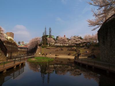 ２０１３　北区　王子の音無川（音無もみじ緑地）の桜見物　上