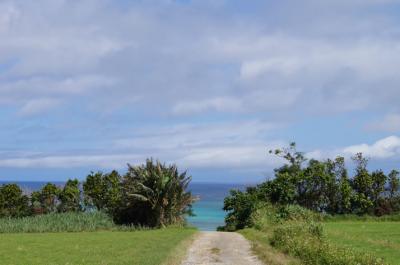 那覇~石垣島~竹富島~西表島(カヌーとトレッキング) パート3