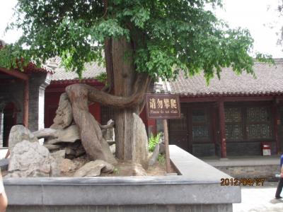 中国・歴史の旅（５４）少林寺境内の移動。