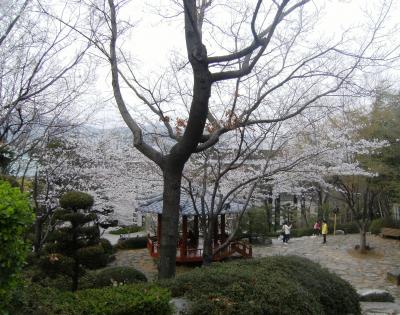 QKor旅行　③　UN公園と市立博物館まで歩く