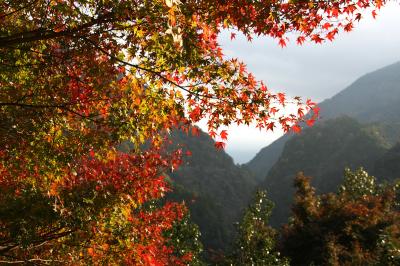 紅葉の大歩危峡、祖谷渓から栗林公園秋のライトアップへ