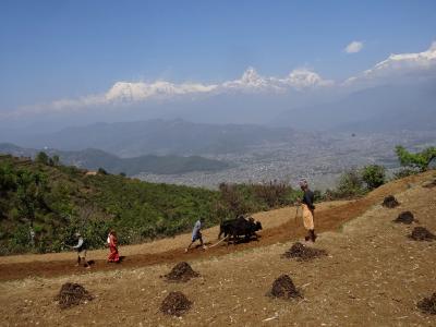 ポカラ・ザ・トレック③ フォクシン編 (ニルマルポカリ、福岡学校)