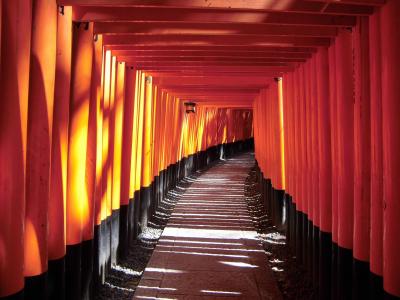 2013・3月　京都に行ってきました☆　伏見稲荷～東寺