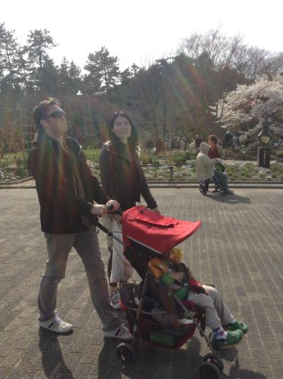 孫Leo夫婦と最後の京都、さくら 巡り