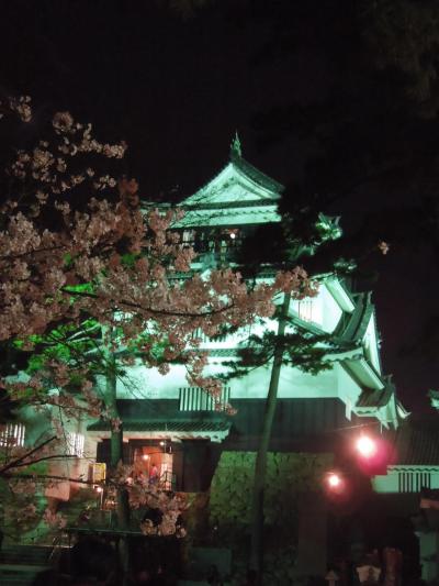 さくら満開♪岡崎公園わくわく夜桜見物～