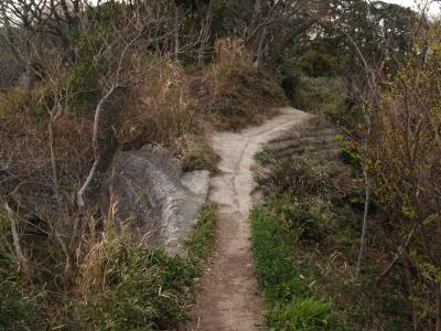 鎌倉・報国寺からまんだら堂まで