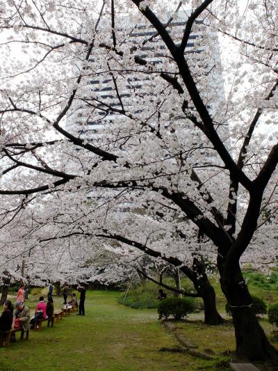 旧芝離宮恩賜庭園に行く。。