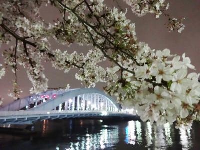 滑り込みセーフ！主に門前仲町の桜を愛でる