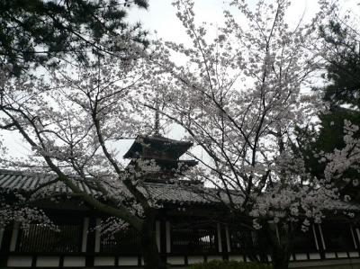 ☆桜咲く～奈良・法隆寺・春日大社の旅☆