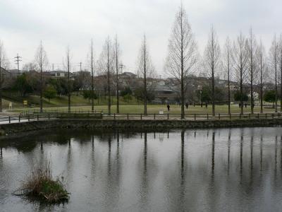 日本の旅　関西を歩く　大阪府寝屋川市、打上川治水緑地(うちあげがわちすいりょくち)、加茂神社（かもじんじゃ）周辺