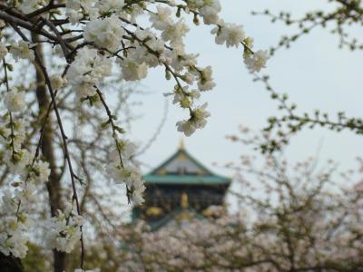 大阪城公園 桃園とちょっとだけ桜