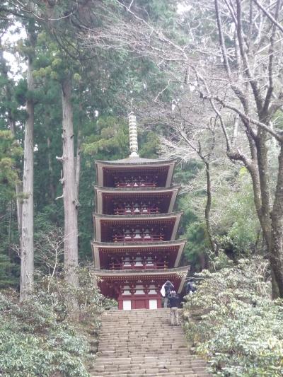 東海バスツアー初めて参戦記！伊東から奈良まで楽ちん、新東名も見物しつつ、室生寺・石舞台・橿原神宮。この気楽さは癖になりそう！！