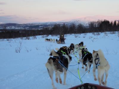 ノルウェー　沿岸急行船でオーロラを見る旅☆2013.2　⑤HURTIGRUTEN ms Finnmarken 12-Day Cruising Day5 トロムソ犬ぞりと夕陽