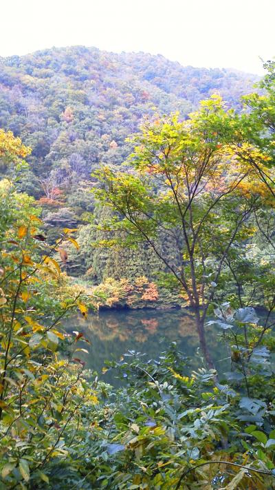 大源太湖の散策