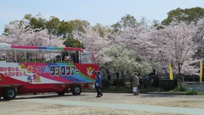 桜宮公園～大阪城へ自転車でブラブラ花見