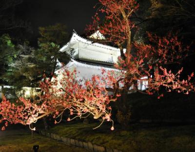 京都の花見part2