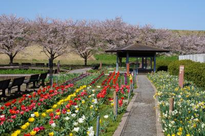 2013年　4月　さいたま市浦和の「千貫樋水郷公園」は手作り郷土賞を受賞していた