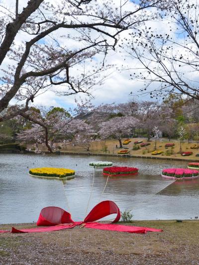 散り始めのはままつフラワーパークの桜&チューリップ三昧～③晴れ間が出てきたお天気に誘われて…～