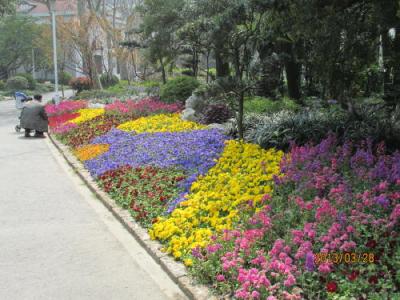 上海の延安西路・天山公園・１３年春