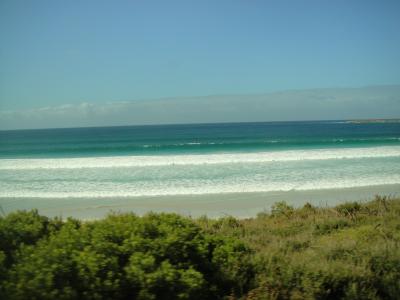 カンガルー島　One day tour