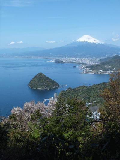 久しぶりに綺麗な富士山が見えたので発端丈山へ　２０１３．０４．０４