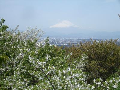 富士山の展望がいい北鎌倉の裏山、六国見山ハイキング