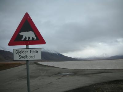 ロングイェールビーン_Longyearbyen　ポーラーベア！スピッツベルゲン島の探検クルーズの基点