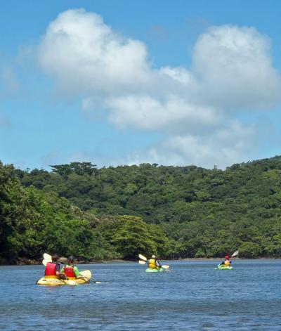 あやしい(中年)探検隊 西表島でカヌーを漕ぐ ～夏がきたぁ八重山 vol.2