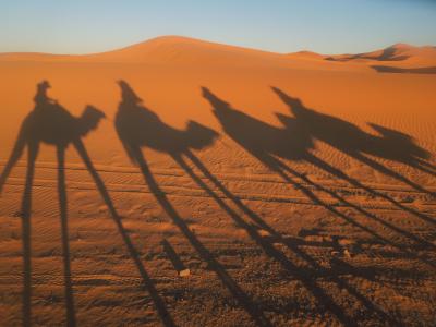 モロッコ旅行（９）　砂漠ツアー編２．～メルズーガ大砂丘～