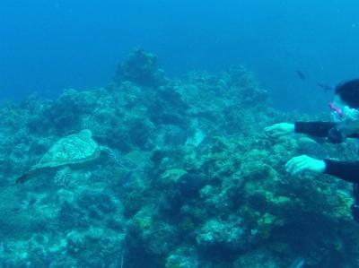 コスメル（Cozumel）ダイビング2日目! 午後のボートは日、米、墨、捷、西、土６カ国人の混載状態！さて皆さん全ての国が判ります？