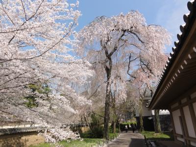 醍醐寺（三宝院）