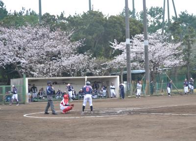 【球春到来】桜の下で社会人野球観戦＠三菱重工横浜　金沢グラウンド