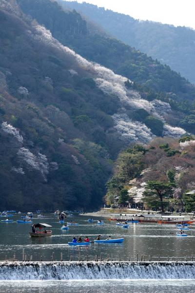 京都を歩く(156)　2013桜めぐり 嵐山～桜が綾なす山水の美～