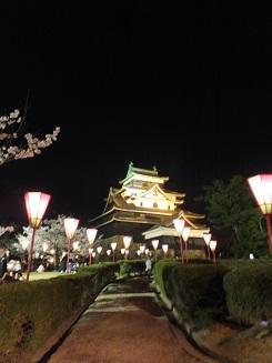 松江の夜桜、きれいでしたよ