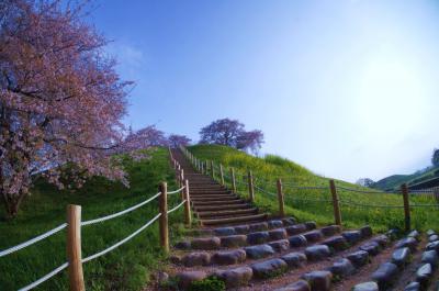 2013 さきたま古墳公園