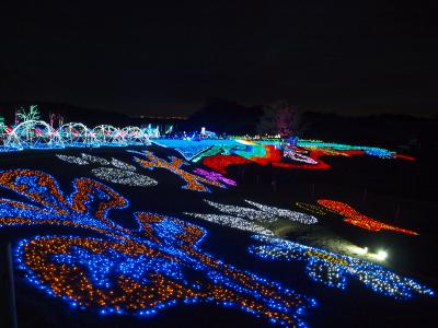 東京ドイツ村イルミネーション２０１３/千葉・袖ヶ浦