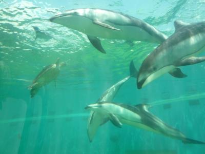 能登の旅 2012年の夏休み