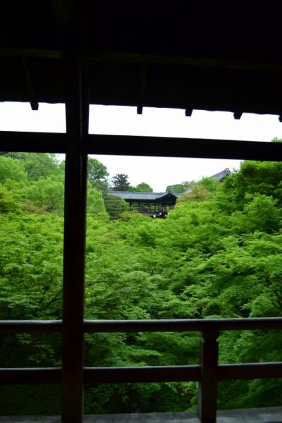 弾丸週末国内旅行 2日でめぐる~京都・大阪~