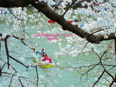 春の東京散歩～桜の名所　千鳥ヶ淵～靖国神社～浅草ぶらり