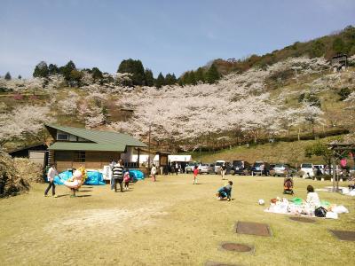 美濃金山城主　森蘭丸の里　桜まつり