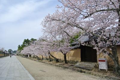 春の奈良・中宮寺～法輪寺～法起寺、そして大和郡山へ。