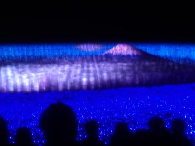 だなばなの里 ウインターイルミネーション冬華の競演 2013年3月 その①