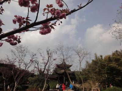 〔中国〕鎮江鍋蓋麺と揚州飲茶の旅 その4★揚州