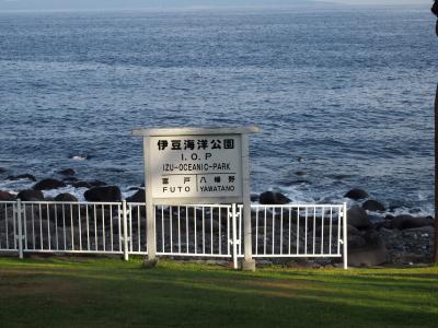 伊豆海洋公園　ダイビング
